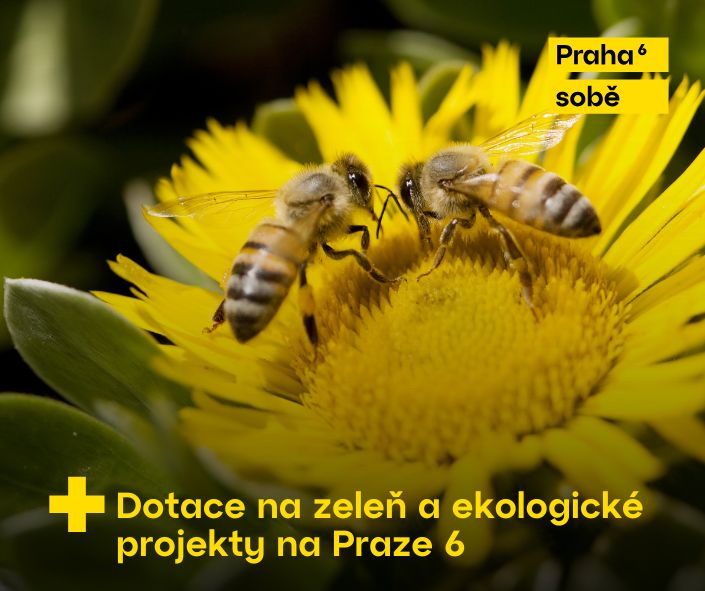 “Ekologické projekty v Praze 6 – podpora udržitelného rozvoje a zeleně