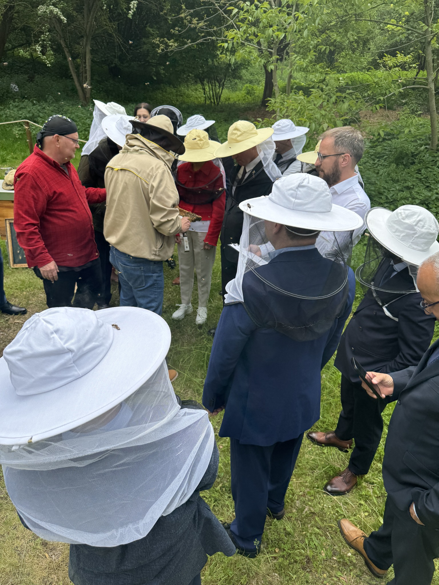Včely a včelařství Praha 6 podpora opylovačů