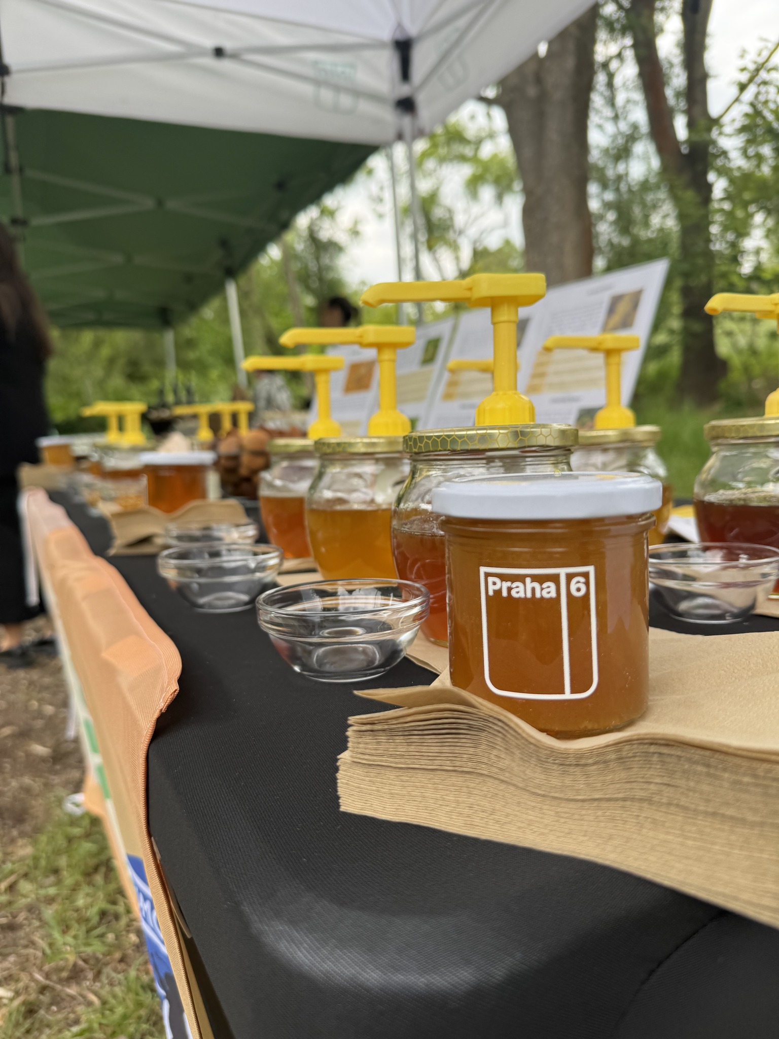 Včely a včelařství Praha 6 podpora opylovačů