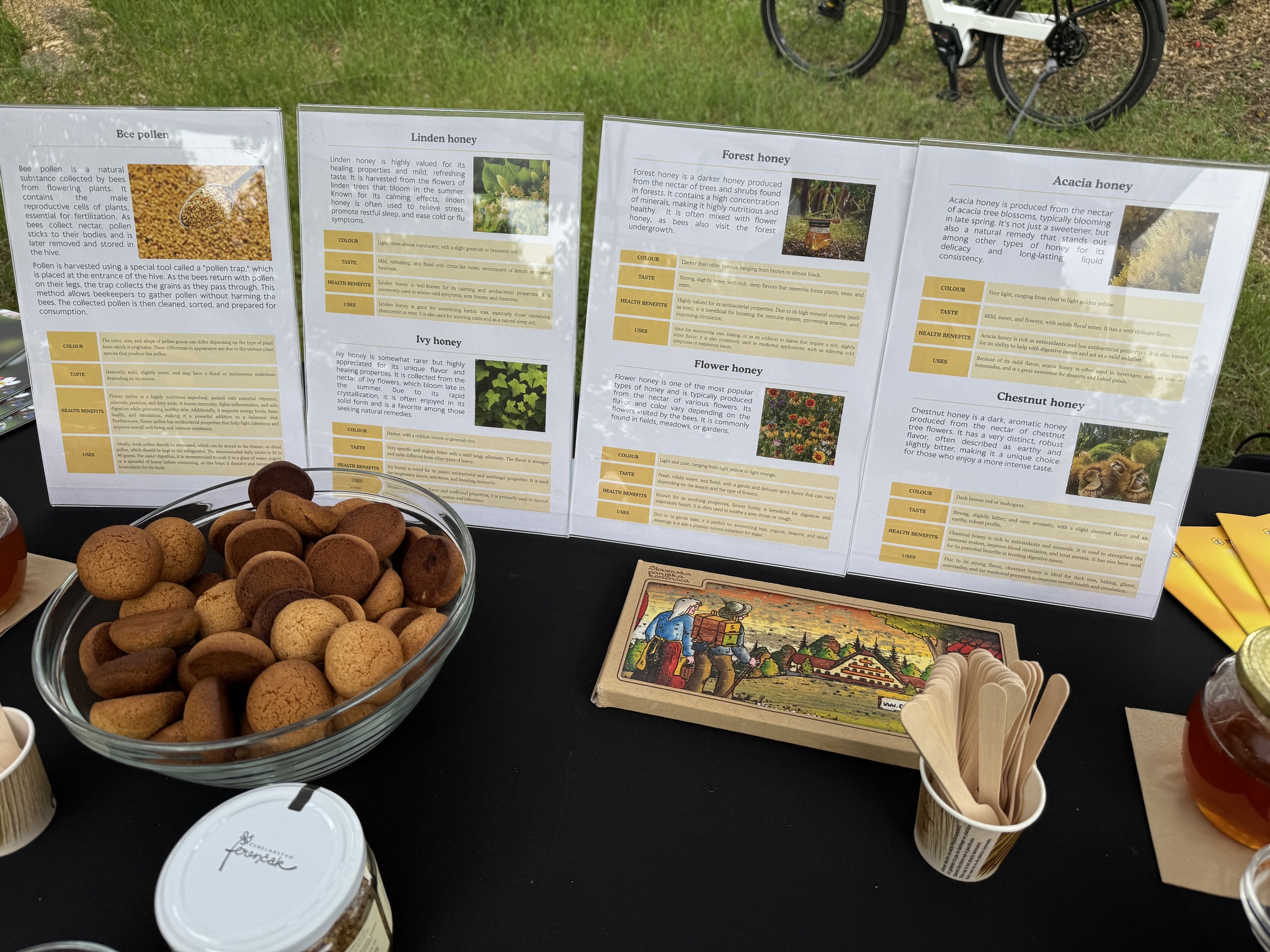 Včely a včelařství Praha 6 podpora opylovačů