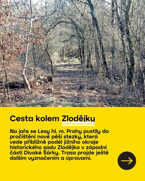 Přírodní cesta a stezka v Divoké Šárce po úpravách