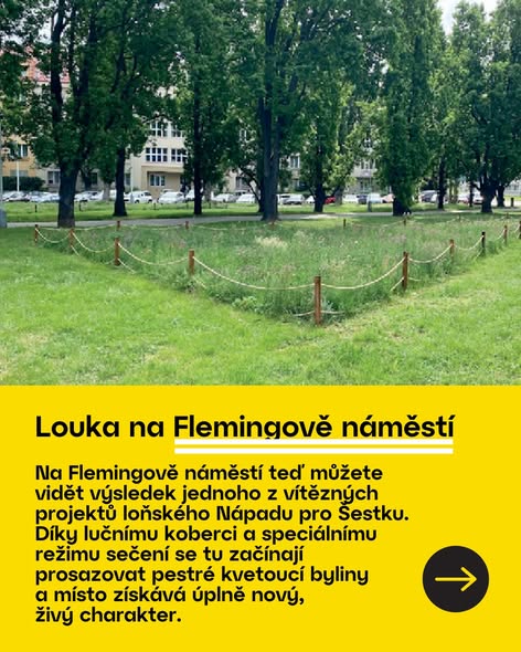 nová květnatá louka na Flemingově náměstí v Praze 6