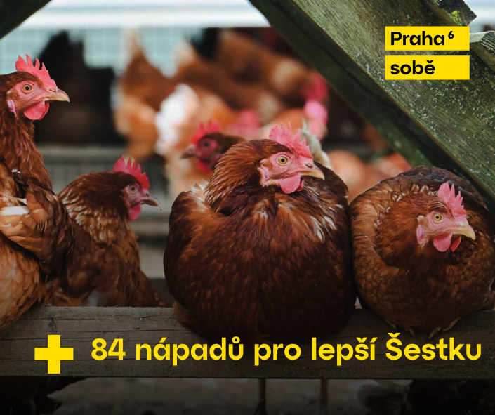 Nápad pro Šestku – participativní projekty obyvatel Praha 6