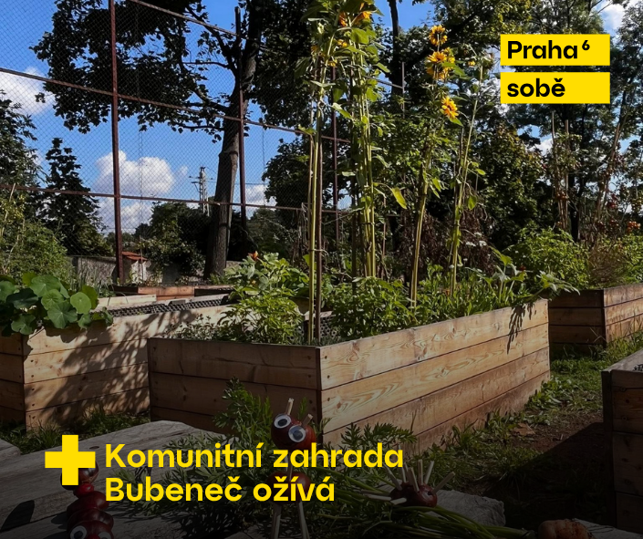 Komunitní zahrada Bubeneč s pěstovanou zeleninou a bylinkami
