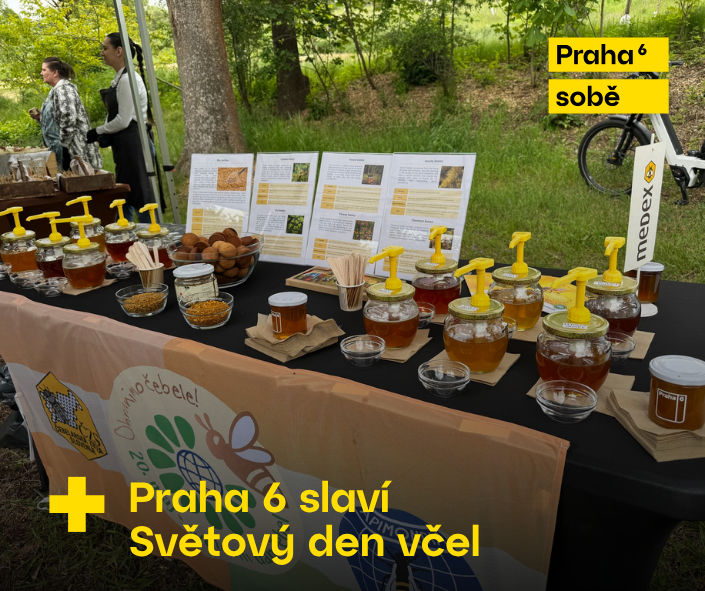 Spolupráce Praha 6 s včelaři na ochraně opylovačů