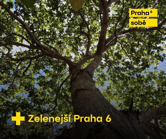 Ekologické projekty Praha 6 komunitní výsadba a péče o přírodu