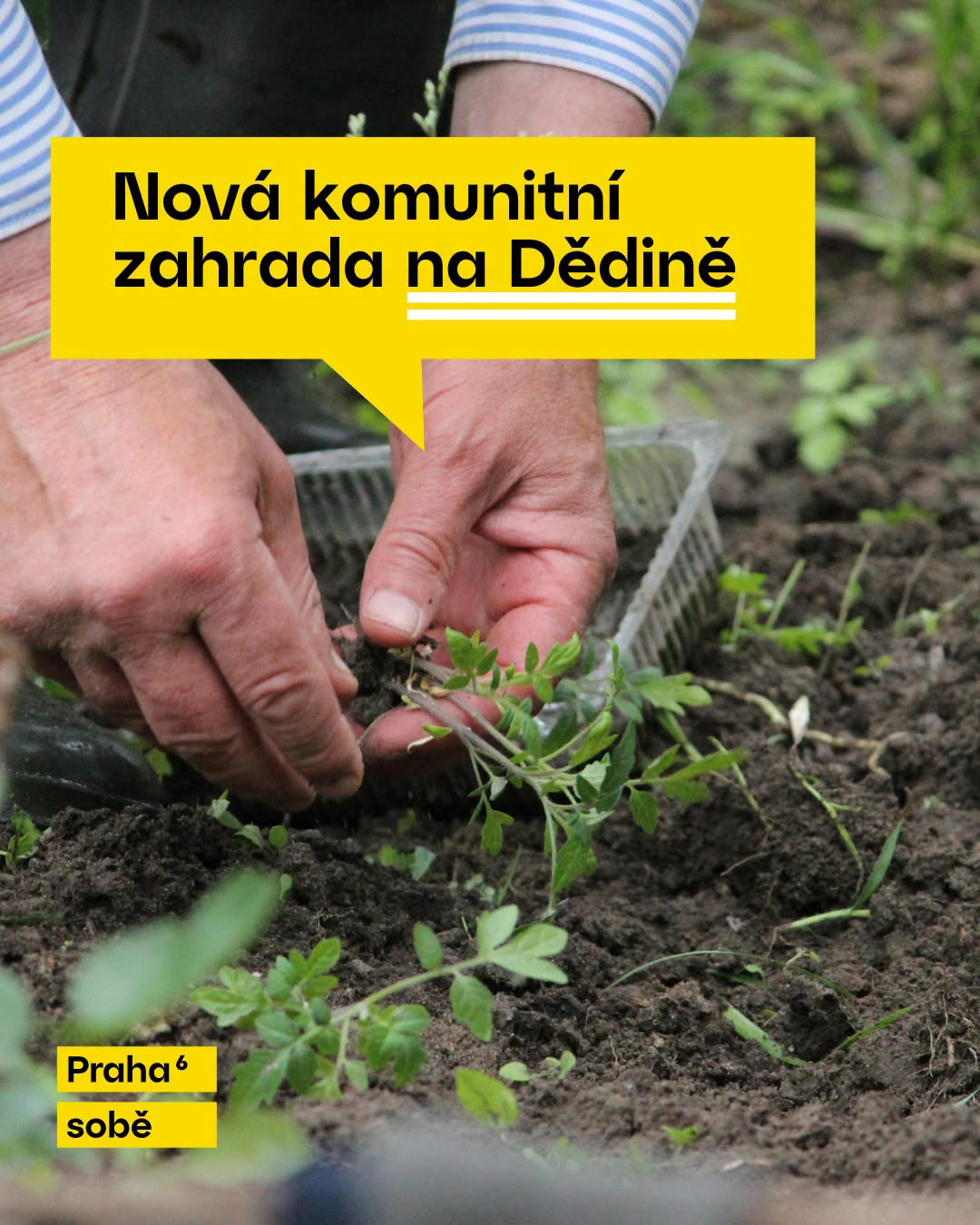 Pozemek budoucí komunitní zahrady na Dědině v Praze 6